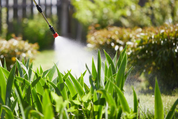 24/7 Emergency Wasp Removal experts in St. Paul, MO